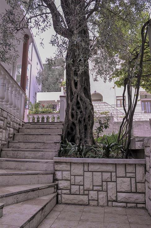 Vila Mila Петровац Экстерьер фото